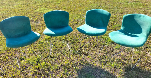 Sedia harry bertoia per knoll - harry,