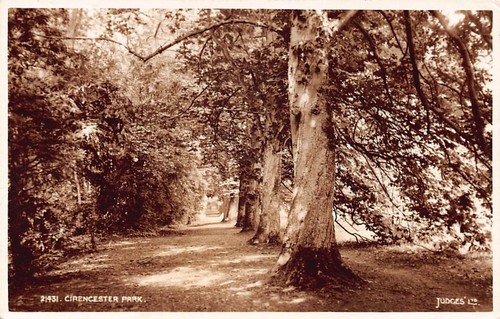 Family history postcard - -,