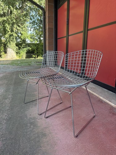 Coppia sedie bertoia side - coppia,